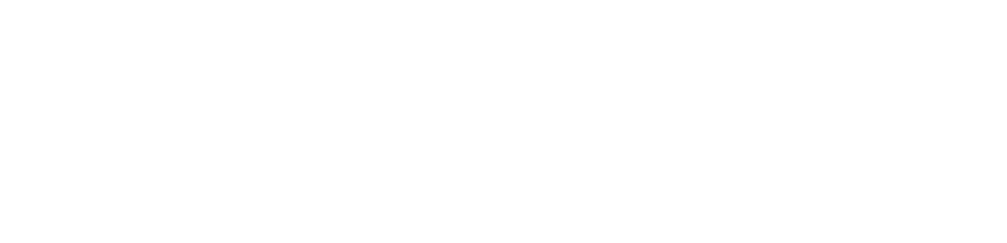 Safesense